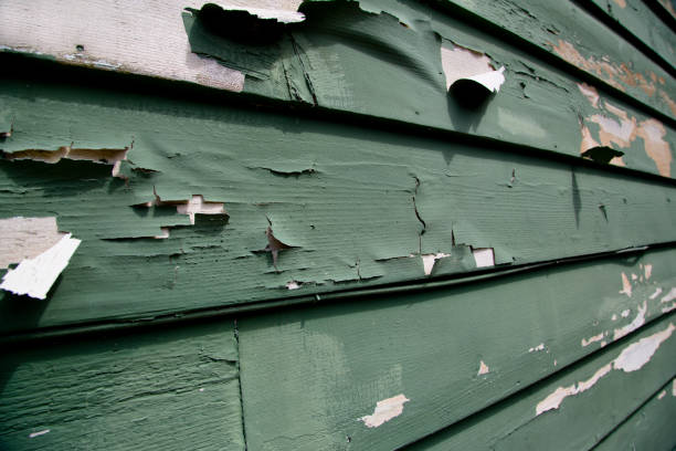Best Recycling Services for Junk  in Woodbury Heights, NJ