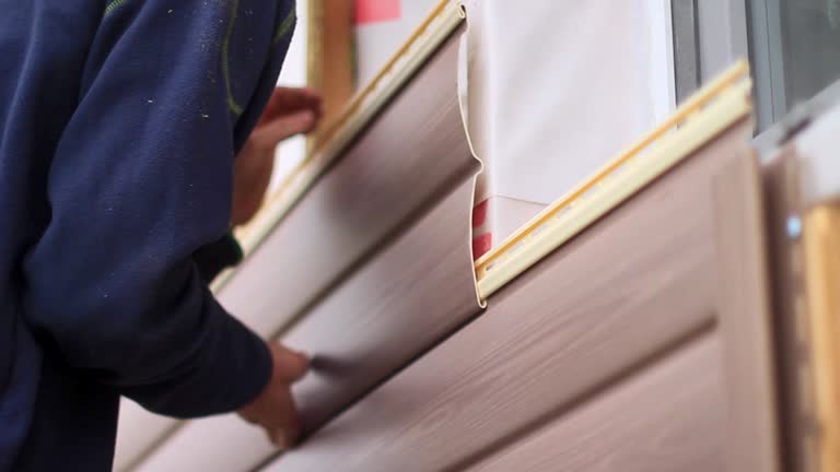 Best Shed Removal  in Woodbury Heights, NJ